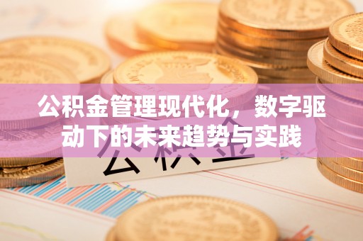 抚宁公积金管理现代化，数字驱动下的未来趋势与实践