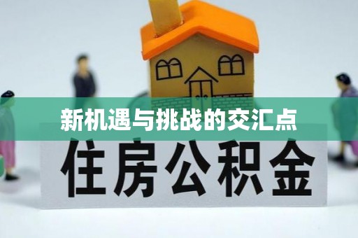 抚宁新机遇与挑战的交汇点