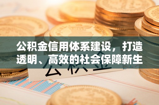 抚宁公积金信用体系建设，打造透明、高效的社会保障新生态