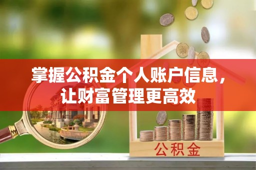 抚宁掌握公积金个人账户信息，让财富管理更高效