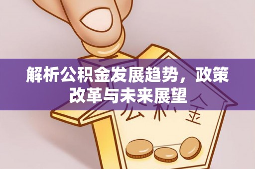 抚宁解析公积金发展趋势，政策改革与未来展望