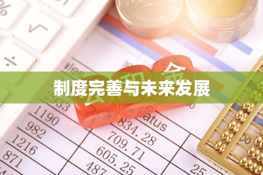 抚宁制度完善与未来发展