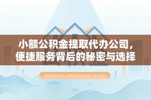 抚宁小额公积金提取代办公司，便捷服务背后的秘密与选择指南