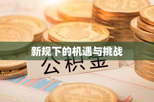 抚宁新规下的机遇与挑战